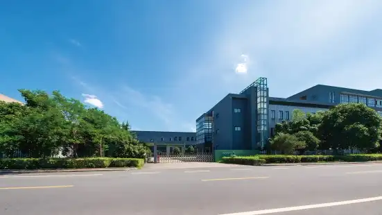 Sliding Bearings vs. Rolling Bearings: A Practical Selection Guide