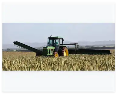 Best Sliding Bearings in China for Agricultural Machinery: Top Suppliers and Key Considerations